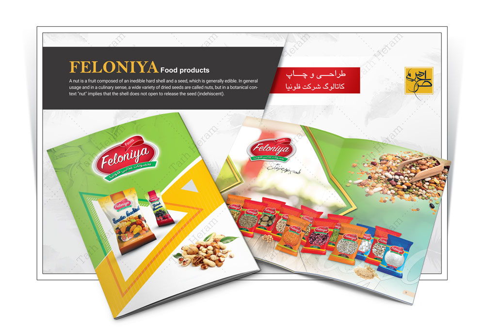 طراحی و چاپ کاتالوگ شرکت فلونیا